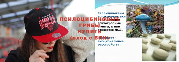 соль ск Абдулино