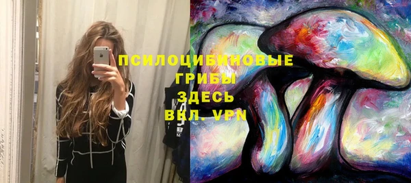 spice Алексеевка