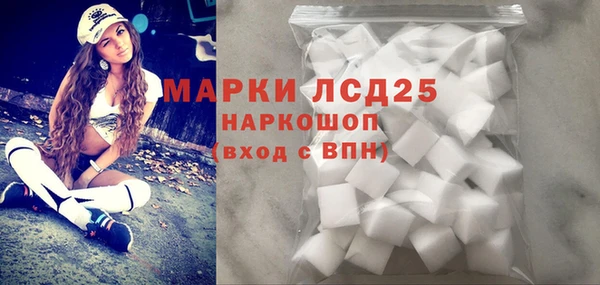 хмурый Алзамай