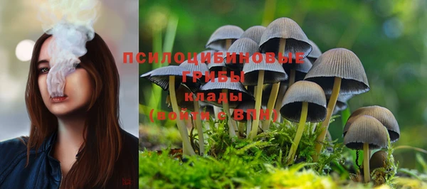 spice Алексеевка